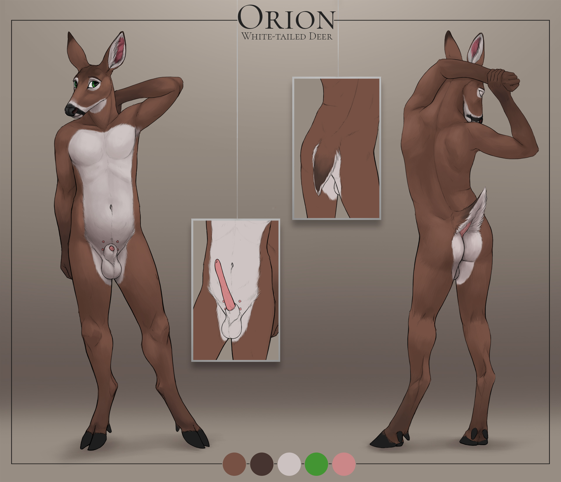 Orion Reference